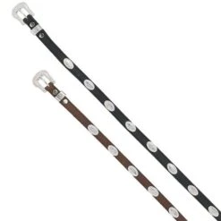 Brown Hatband With Conchos