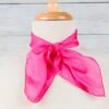 Solid Pink Silk Show Scarf