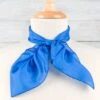 Solid Royal Blue Silk Show Scarf