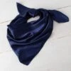 Dark Blue Wild Rag -Western Cowboy Equipment Shop 849987 A