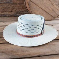 Charlie 1 Horse Blue Roan