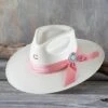 Charlie 1 Horse Only Prettier -Western Cowboy Equipment Shop CSONPT