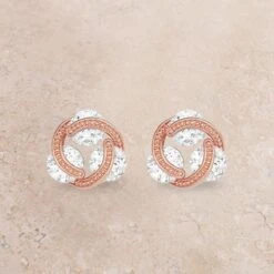 Montana Silversmiths Holding On Earrings