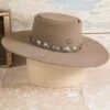 Charlie 1 Horse Pecan High Desert -Western Cowboy Equipment Shop cwhibt