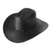 Stetson Black Blaze Palm Hat -Western Cowboy Equipment Shop ssblze